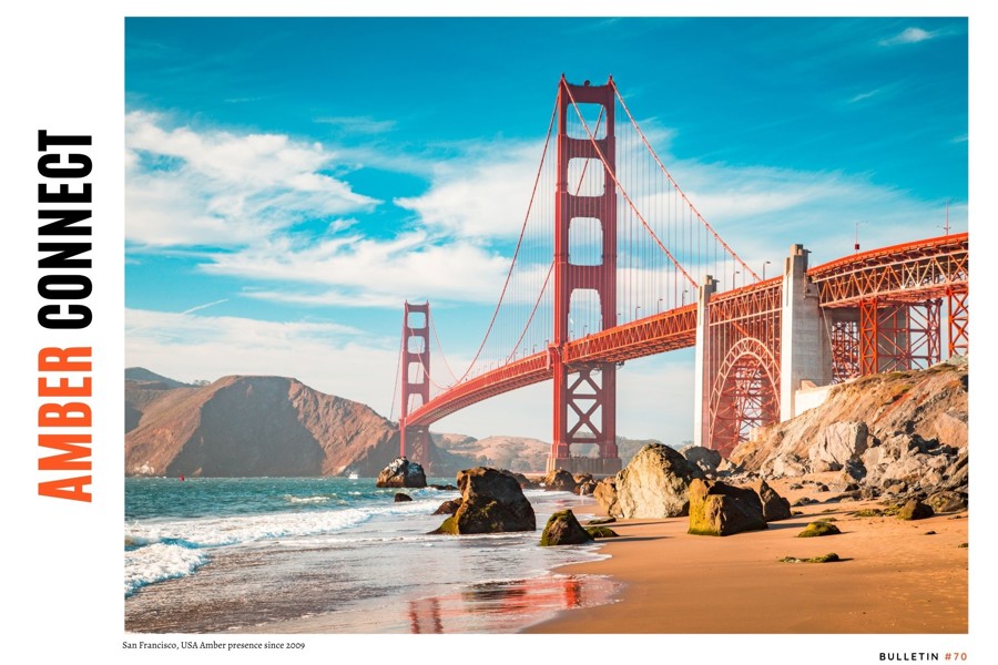 Amber connect cover image