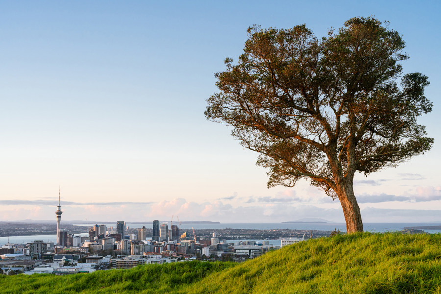 New Zealand Akoranga Student Village | Amber
