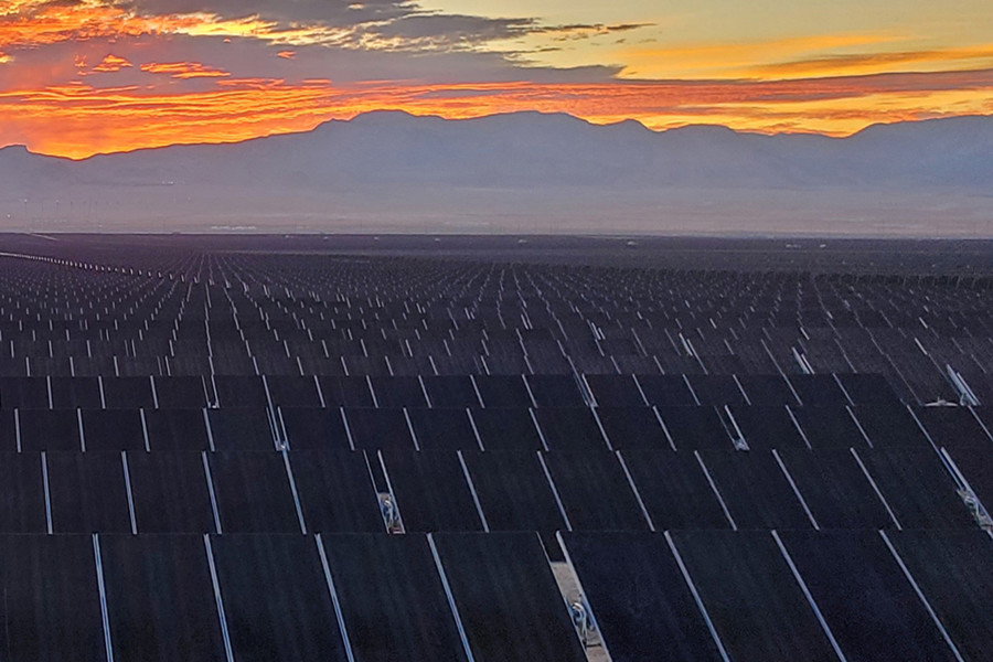 solar panel farm