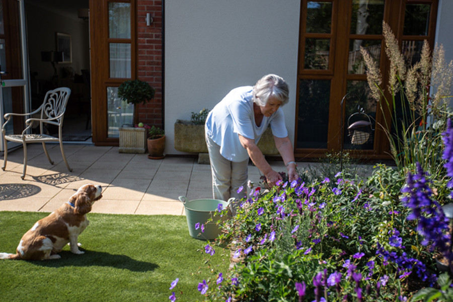 Albany meadows resident photo