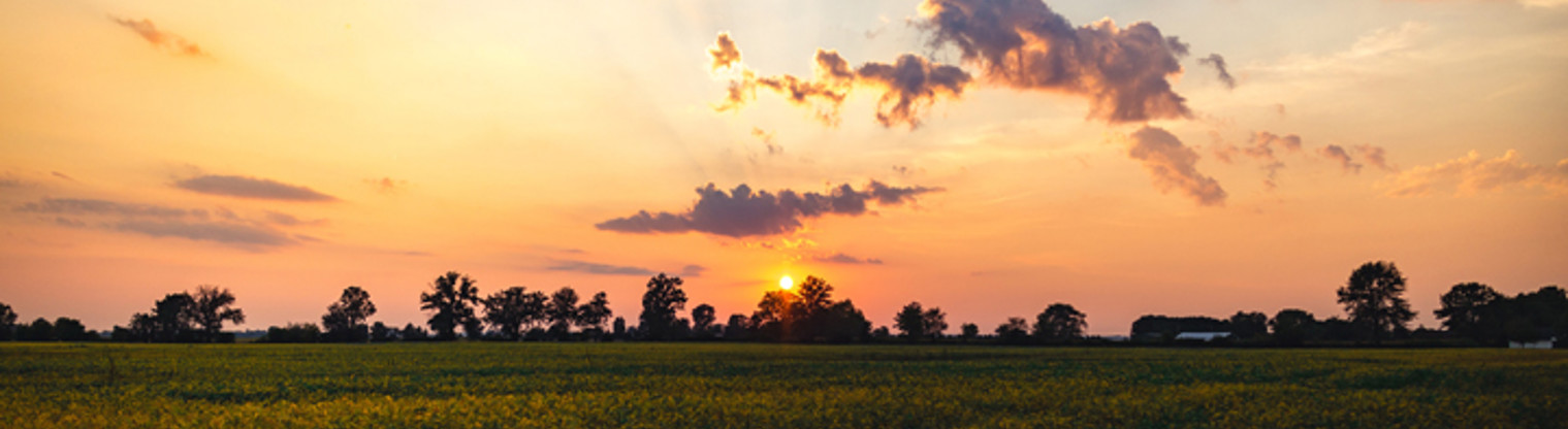 Clouds Field Lawn 9453