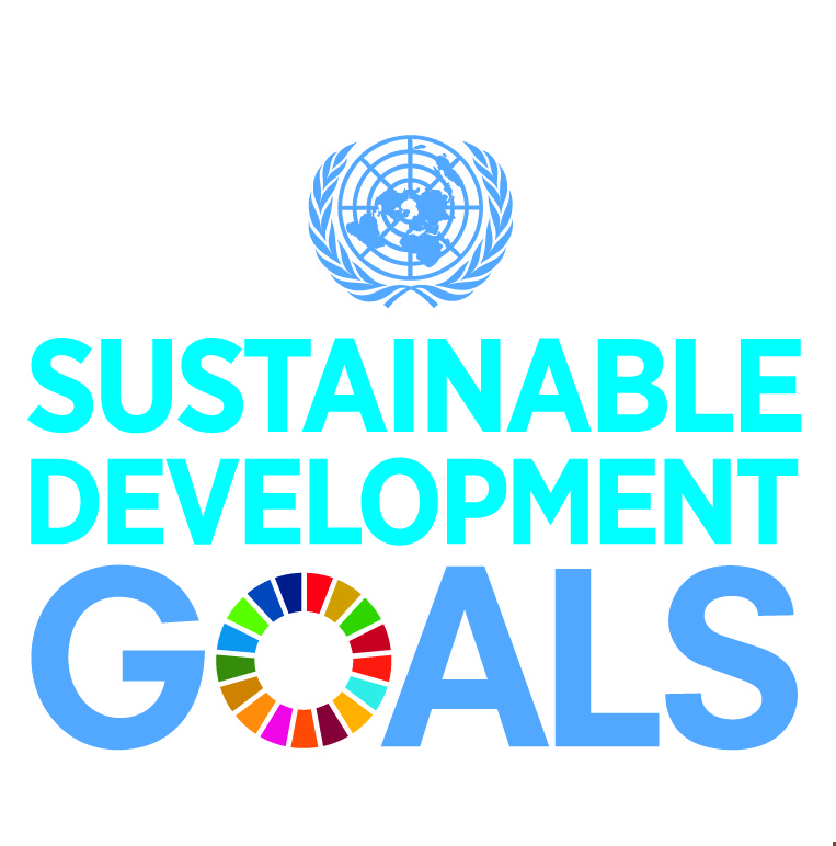 SDG logo