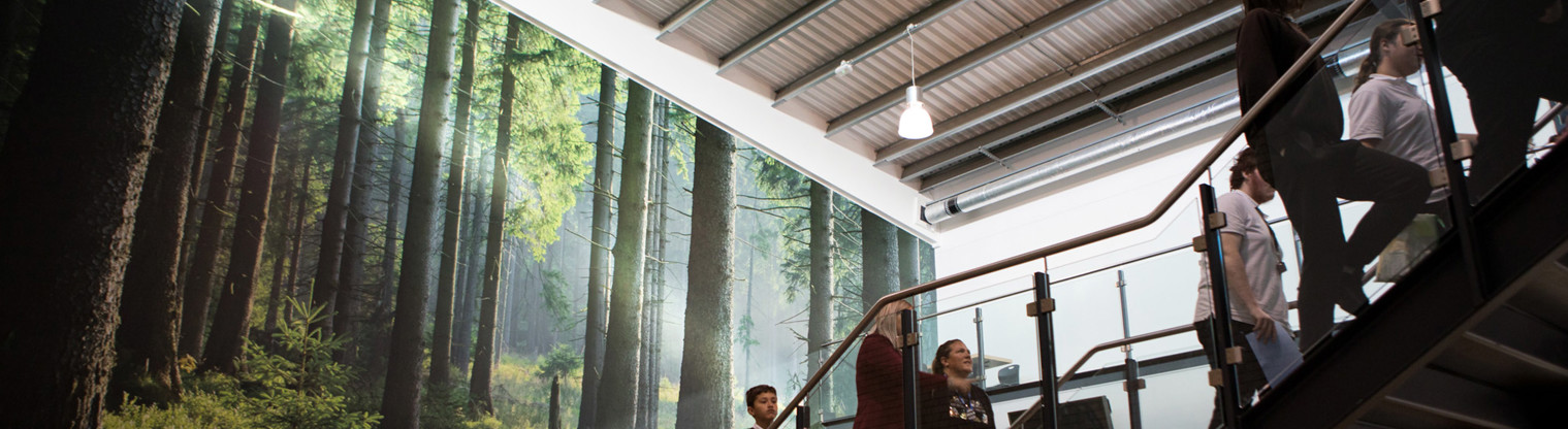 image of people walking up stairs