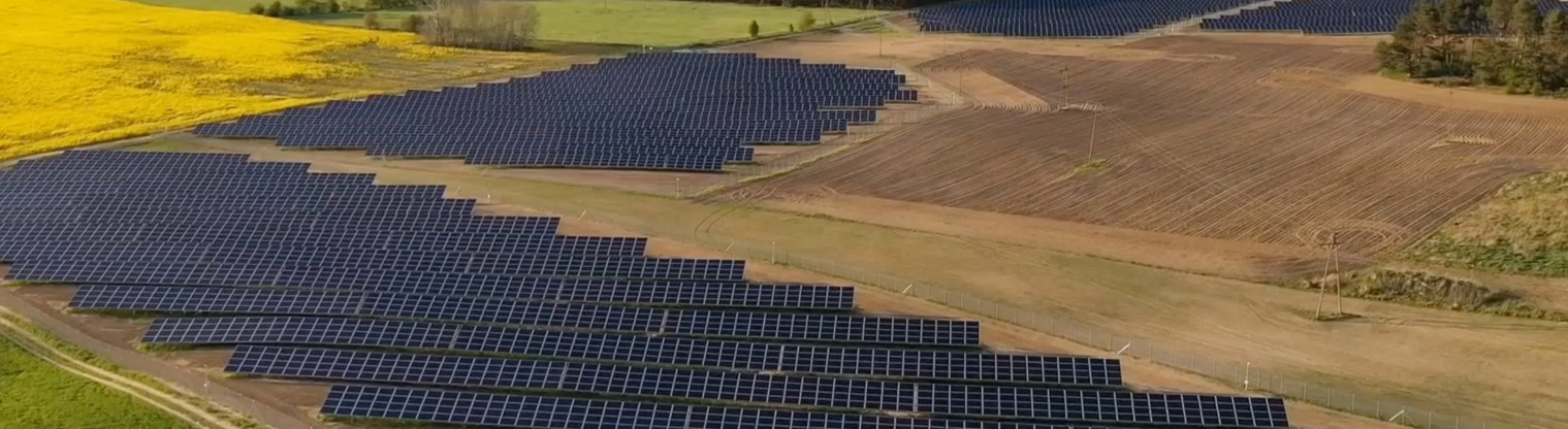 solar panels in a field