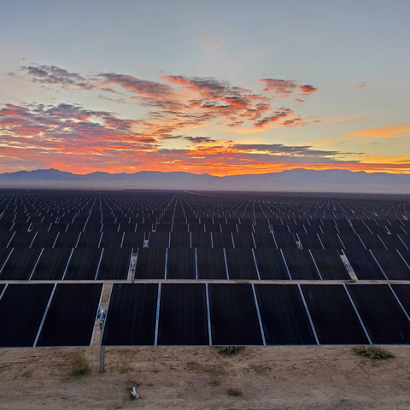 solar panels